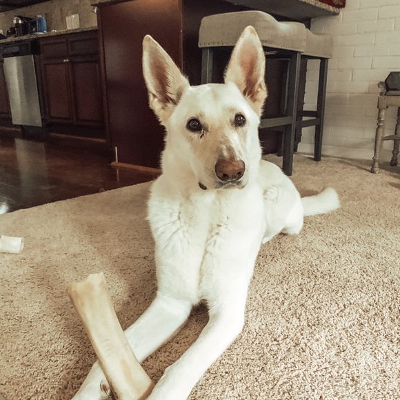 Hi! - Picture 5 of 5